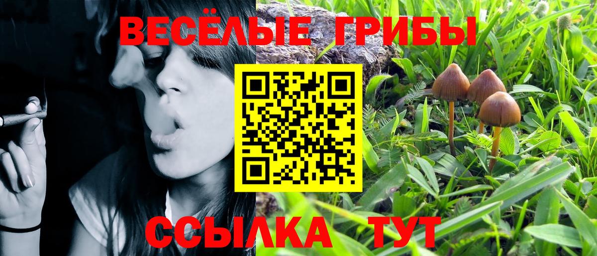 Галлюциногенные грибы Magic Shrooms Мончегорск