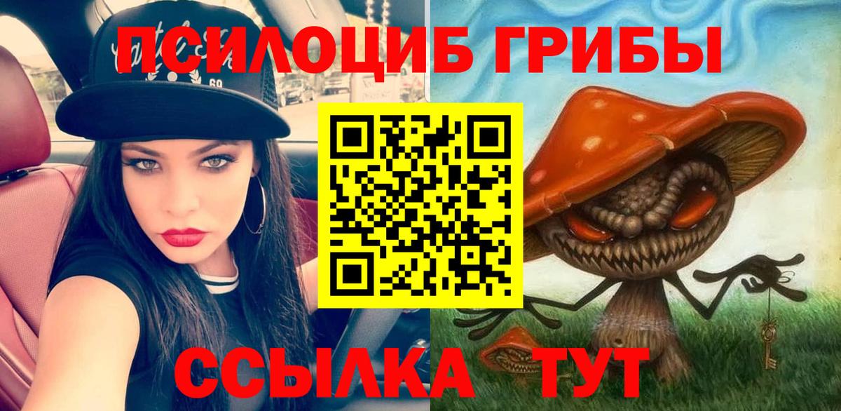 Псилоцибиновые грибы Magic Shrooms  купить наркоту  Вход с VPN  Мончегорск  Псилоцибиновые грибы MAGIC MUSHROOMS 